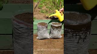 Mind-Blowing Ways To Grow Plants At Home Genius Or Just Slightly Unhinged?