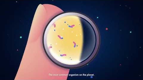 An Introduction to Calyx Sensor Technology and Platform