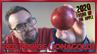 Red Prince Jonagold Apple Review | Year of the Apple