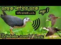 ডাক পাখির ডাক 2023/ dahuk pakir dak/suara ruak ruak/whitebrested waterhen sound/ Mp3 Song