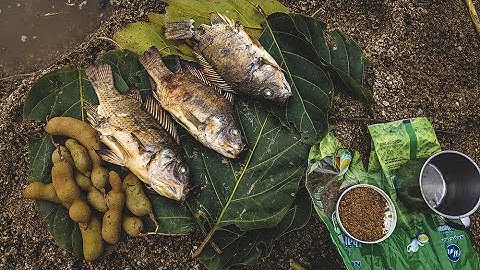 Trải nghiệm thư giãn bên dòng suối | Câu cá và nướng ăn tại rừng ngon bá cháy | cmt film vlog.