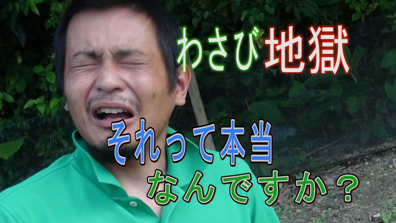 I tried drinking a whole bottle of wasabi in one go. [Is that true
