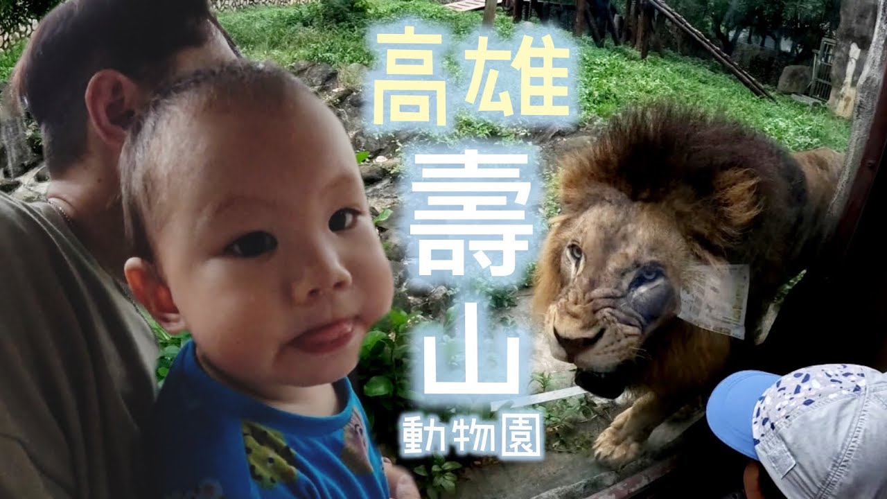 「高雄玩什麼」來去壽山動物園搭小火車看動物