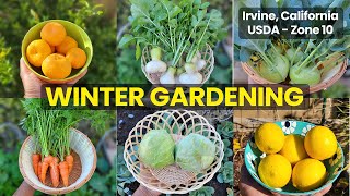 winter gardening success: abundant vegetable harvests, garden tour & pro tips!