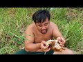 Survival skills:find chicken  by hand  - burn with cabbage eating delicious #27