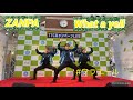 ZANPA  What a yell   TTCキャンペーンライブ エルミこうのす 2026.3.17