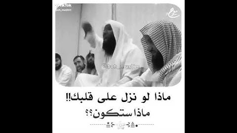 فضيله الشيخ بدر المشاري (القرآن الكريم)