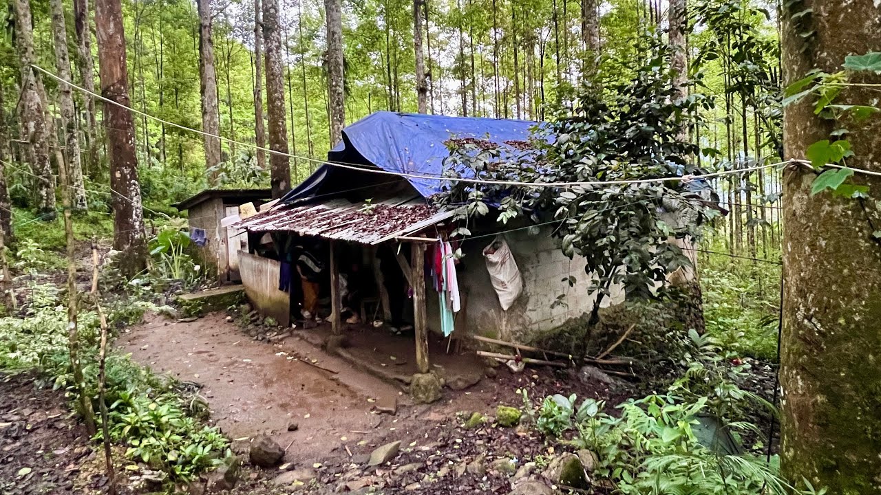 Hidup di Desa, Ternyata ini Alasan KDM Mendatangi Satu Rumah Dekat Hutan