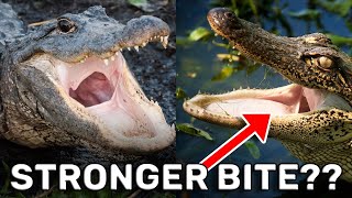 Alligator VS Crocodile - 1v1 Matchup - Who Wins??