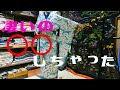 着物いかがでしょうか⁉️昔の人は、もっと自由にオシャレ着物を楽しんだアンティーク着物の世界へようこそ💛京都今昔西村