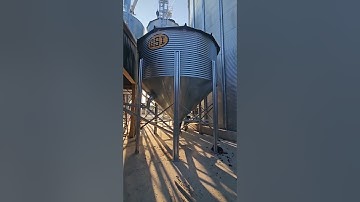 Soybean Roasting System