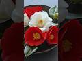椿の花の作り方　Clay Camellia Flower DIY