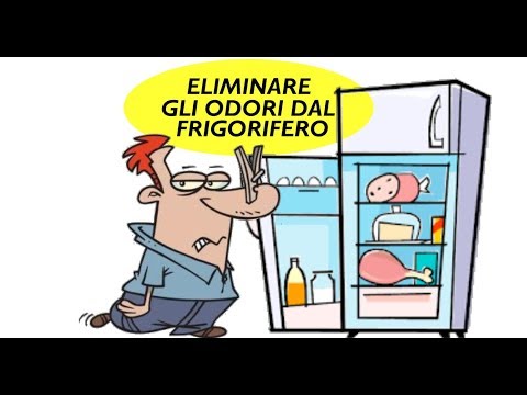 Video: Moderno assorbiodori per frigoriferi: dite no agli odori