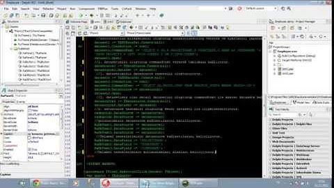 Raudus Web Framework İle Delphi Android Uygulamaları Geliştirmek