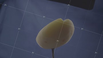 Apricot rotating with loop on blue screen for chroma key