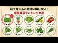 「庭で育てると絶対に損しない 野菜ランキング9選|コスパ最強の家庭菜園」
