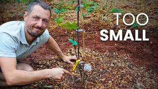 Famous Plant your fruit trees like this, it'll grow faster Net Worth