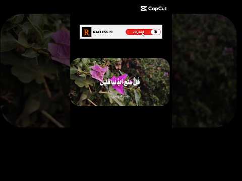 #قرآن_كريم #راحة_نفسية #اللهم_صلي_على_نبينا_محمد #اشتراك #لااله_الا_انت_سبحانك_اني_كنت_من_ظالمين