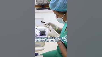 Trường hợp cần nhổ răng khôn trước khi niềng? #nhakhoahanoisydney #niengrang #nhorangkhon #shorts