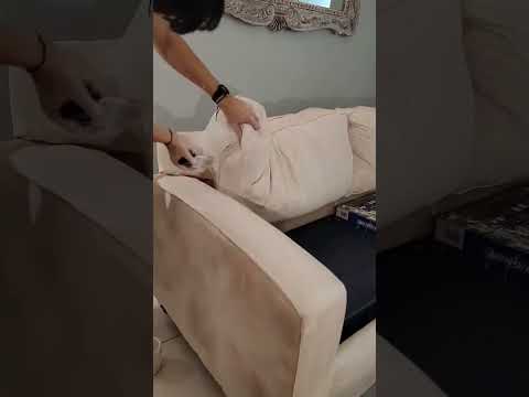 A simple and cost-effective way to revive your sofa.