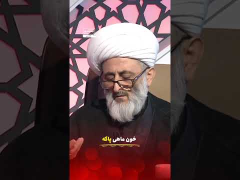 آیا خون ماهی مرغ و گوسفند نجس است