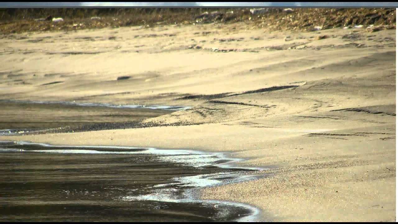 Good Night Contemplation