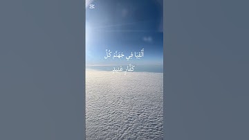 تلاوة عجيبة من سورة ق بصوت القارئ ناصر القطامي