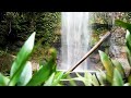 Sukai relaxing healing nature  music calm breeze waterfall
