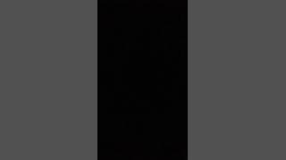 Download lagu Maru _ Hey Tenang Saja Cover By Jimmy Tobing