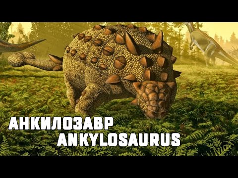 Dinosaurs. Ankylosaurus. Ankylosaurus