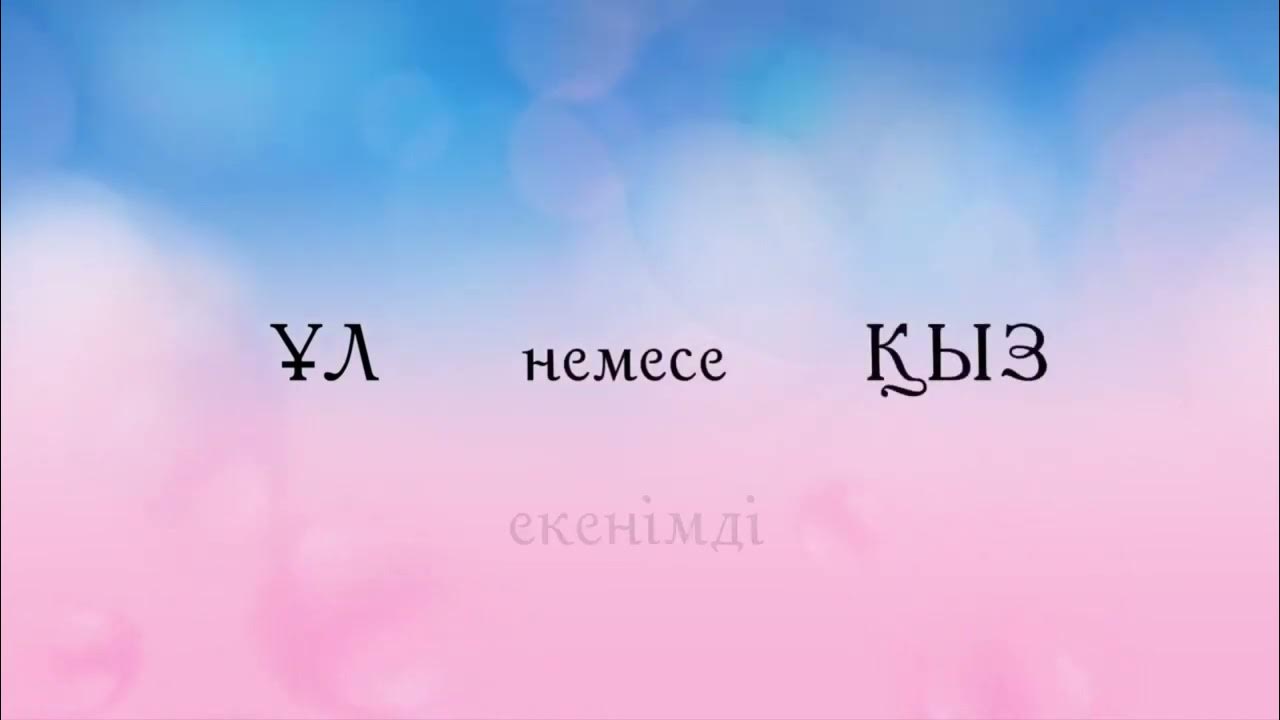 Қызыңыз ! Гендер пати озвучка қазақша на казахском #гендерпати #қыз ...
