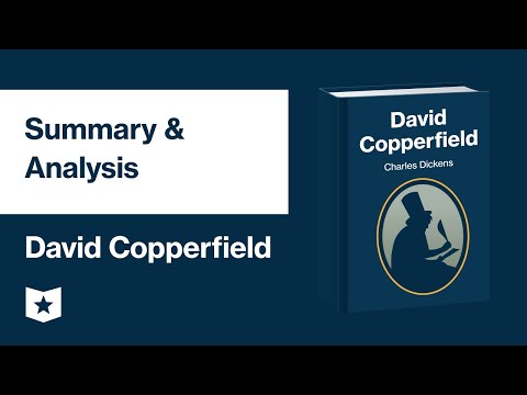 Video: David Copperfieldin yksityiset saaret Bahamaissa