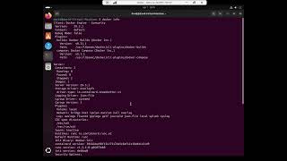 Gathering Information About Your Docker Installation