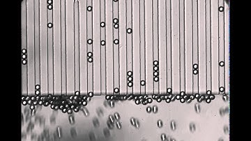 Polystyrene Particles in Series of Microfluidic Channels