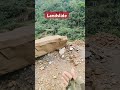 Assam Ka Landslides | Jharkhand to All India Travel By Cycle #shorts #youtubeshorts #travel