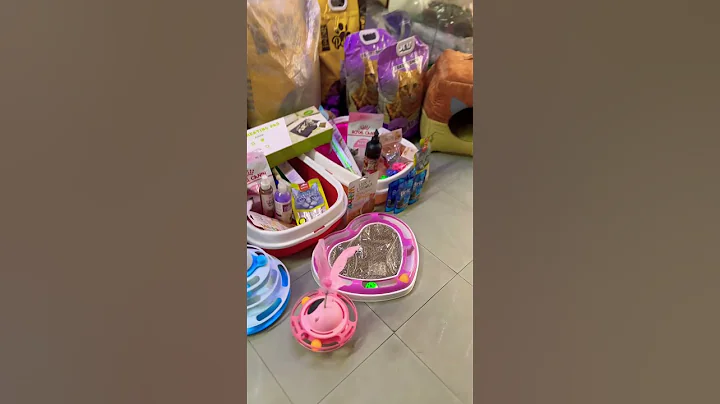 Watch the video about Persian Kittens in Lahore at Pets point®️ #cat #persiankittensforsale #catlover #pets #kitten