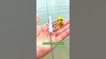 Chuông báo tín hiệu câu cá cảm biến ##câucá #fishing #phukiencauca #docauca #fishingvideo #caulangxe