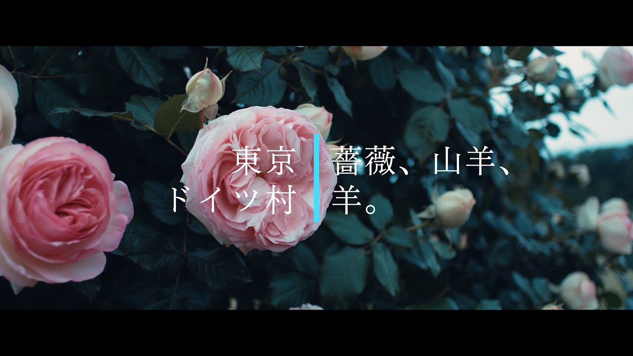 東京ドイツ村 薔薇 山羊 羊 Youtube