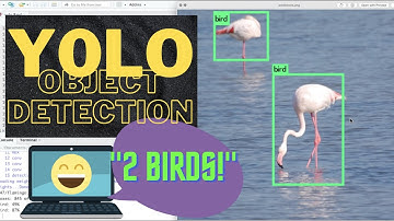 #R | YOLO Object Detection | #YOLO #ObjectDetection #Darknet #NeuralNetwork #ComputerVision