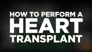 Learn How To Transplant A Human Heart Using Surgeon Simulator 2013!