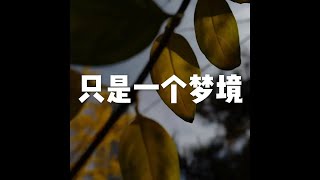 201703 只是一个梦境22250