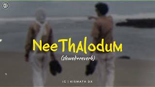 Nee Thalodum (slowed+reverb) Vocal Dude