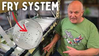 Dean's Fry System - Everything You Need to Know!