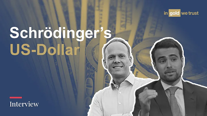 Schrdingers US-Dollar | Tavi Costa & Ronald Stferle