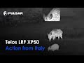Monoculaire Pulsar Telos LRF XP50 vision thermique