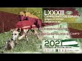 PRESENTACIÓN DEL LXXXIII CTO DE ESPAÑA DE GALGOS EN CAMPO