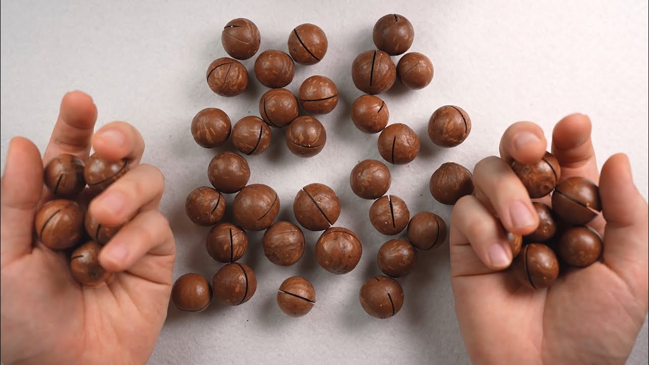 ACMP Очень Удовлетворяющие Звуки Маккадамии