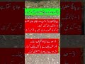 سہاگ رات میں یہ 5 غلطیاں ہرگز نہ کریں سہاگ رات میں یہ 5 غلطیاں ہرگز نہ کریں