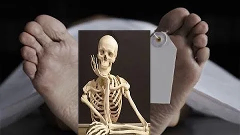 ¿Cuánto tarda un cuerpo en convertirse en un esqueleto en un ataúd?