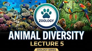 Zoology | Animal Diversity Lecture -05 | Phylum Annelida | Segmented Worms, Polychaetes & Earthworms